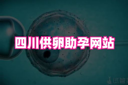 试管助孕网站 4